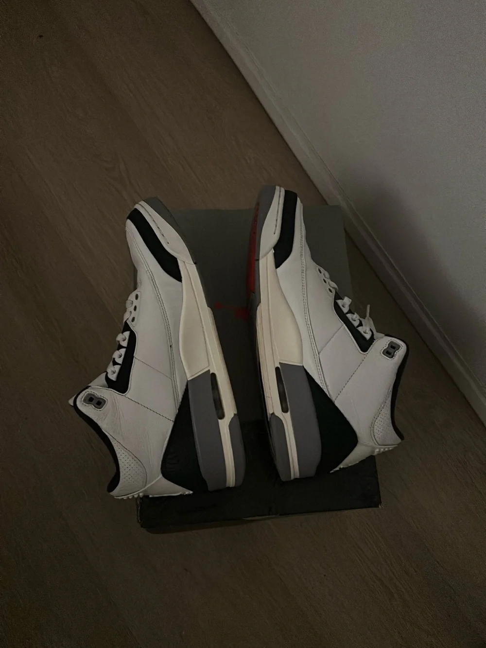 Jordan iconic silhouette